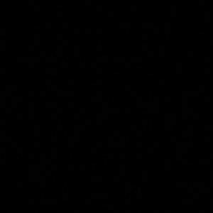 Meet your Posher, Evan